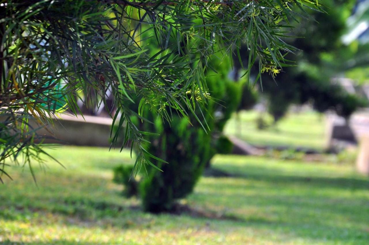 Riverside Resort Hotel Kabale المظهر الخارجي الصورة